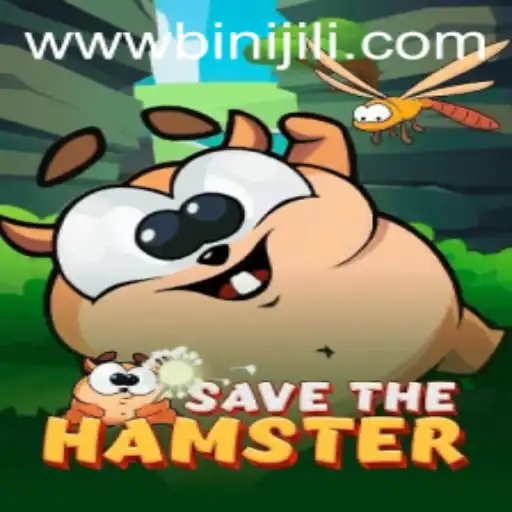 SavetheHamster: An Immersive Adventure into the Vibrant World of BINIJILI